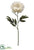 Single Peony Spray - Pearl - Pack of 6