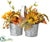 Sunflower, Pumpkin, Berry - Fall - Pack of 4