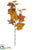 Grape Leaf Spray - Fall - Pack of 12