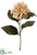 Hydrangea Spray - Vanilla - Pack of 6