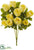 Rose Bush - Vanilla - Pack of 12