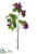 Bauhinia Spray - Boysenberry - Pack of 6