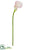 Calla Lily Spray - White Boysenberry - Pack of 12