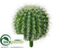 Silk Plants Direct Barrel Cactus - Green - Pack of 6