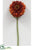 Zinnia Stem - Brick - Pack of 12