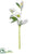 Snowed Helleborus Spray - White Ice - Pack of 12