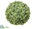 Silk Plants Direct Iced Sedum Orb - Green Ice - Pack of 4