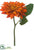 Dahlia Spray - Terra Cotta - Pack of 12