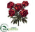 Peony Bush - Brick Terra Cotta - Pack of 6