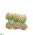 Silk Plants Direct Dudlea Pick - Green Pink - Pack of 12