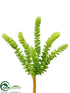 Silk Plants Direct Donkey Tail Pick - Green - Pack of 24