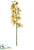 Silk Plants Direct Phalaenopsis Orchid Spray - Mustard - Pack of 6