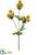 Globe Thistle Spray - Mustard - Pack of 12