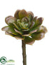 Silk Plants Direct Echeveria Pick - Green Mauve - Pack of 12