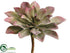 Silk Plants Direct Echeveria Pick - Green Mauve - Pack of 12