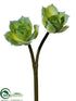 Silk Plants Direct Echeveria Pick - Seafoam - Pack of 24