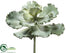 Silk Plants Direct Curly Echeveria - Green - Pack of 6