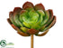 Silk Plants Direct Echeveria Pick - Green Burgundy - Pack of 12