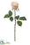 Rose Bud Spray - Beige - Pack of 12