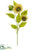 Sunflower Spray - Beige - Pack of 12