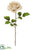 Rose Spray - Beige - Pack of 12