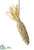 Corn - Beige - Pack of 12