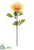 Dahlia Spray - Cream Beige - Pack of 6