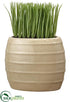 Silk Plants Direct Grass - Green Beige - Pack of 6