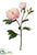 Grand Peony Spray - Cream Cerise - Pack of 12