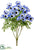 Daisy Bush - Helio - Pack of 12