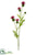 Thistle Spray - Red - Pack of 12