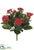 Kalanchoe Bush - Red - Pack of 6