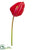 Anthurium Spray - Red - Pack of 12