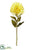 Protea Spray - Yellow - Pack of 12