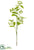 Budding Smilax Spray - Yellow - Pack of 12