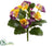 Pansy Bush - Lavender Yellow - Pack of 12