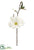 Silk Plants Direct Magnolia Spray - White - Pack of 12