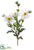 Shasta Daisy Spray - White - Pack of 6