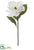 Velvet Magnolia Spray - White - Pack of 12