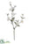 Glittered, Snowed Dogwood Spray - White - Pack of 12