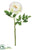 Peony Spray - White - Pack of 12