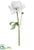 Snowed Anemone Spray - White - Pack of 12