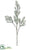 Gypsophila Spray - White - Pack of 12