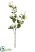 Silk Plants Direct Apple Blossom Spray - White - Pack of 12