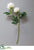 Peony Spray - White - Pack of 12