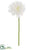 Mum Spray - White - Pack of 12