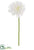 Mum Spray - White - Pack of 12