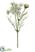 Silk Plants Direct Queen Anne's Lace Spray - White - Pack of 24