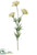 Silk Plants Direct Queen Anne's Lace Spray - White - Pack of 12