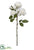 Rose Spray - White - Pack of 24